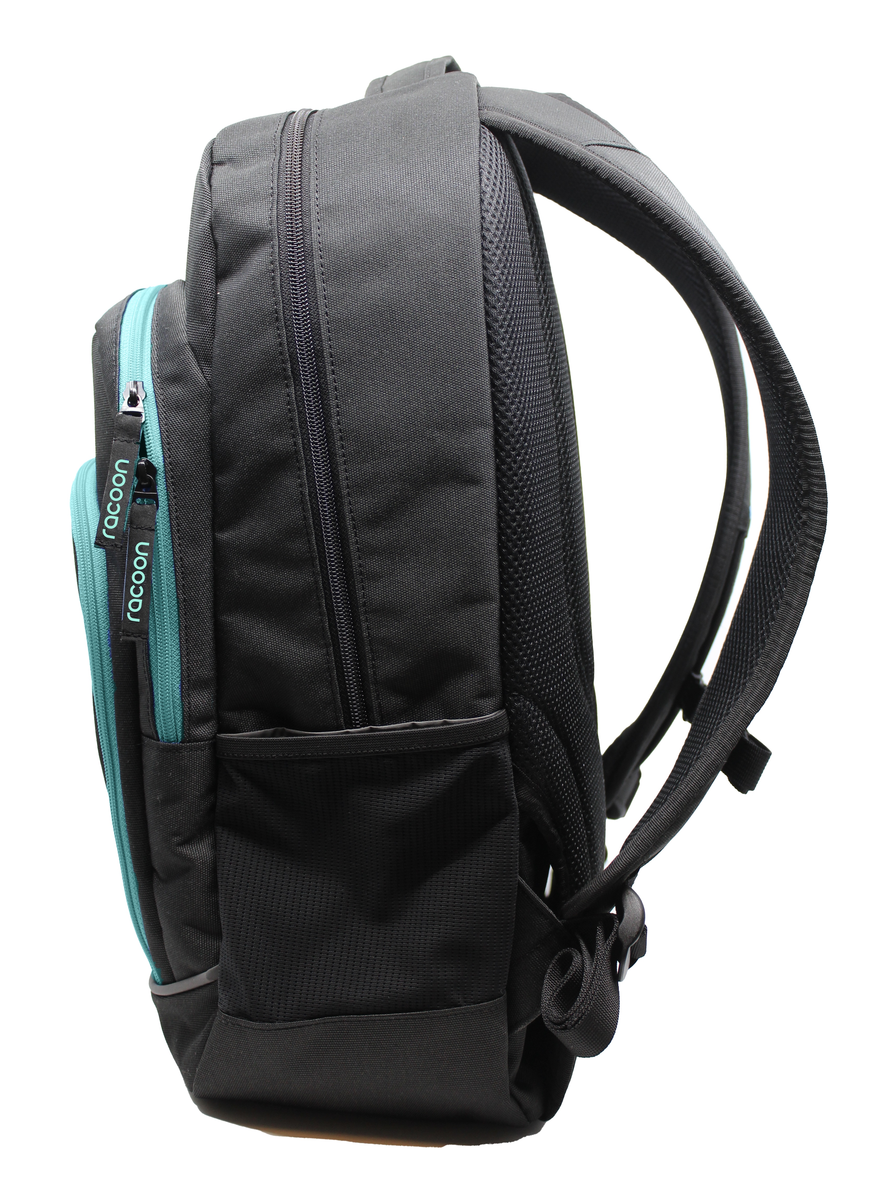 racoon everyday schulrucksack