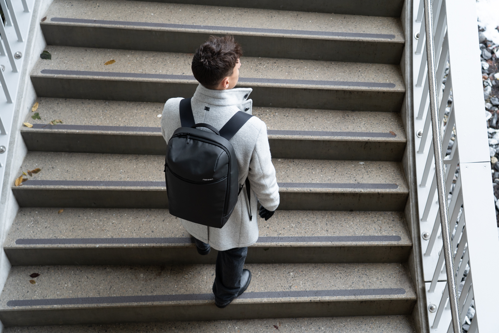 Racoon Business Rucksack Campus