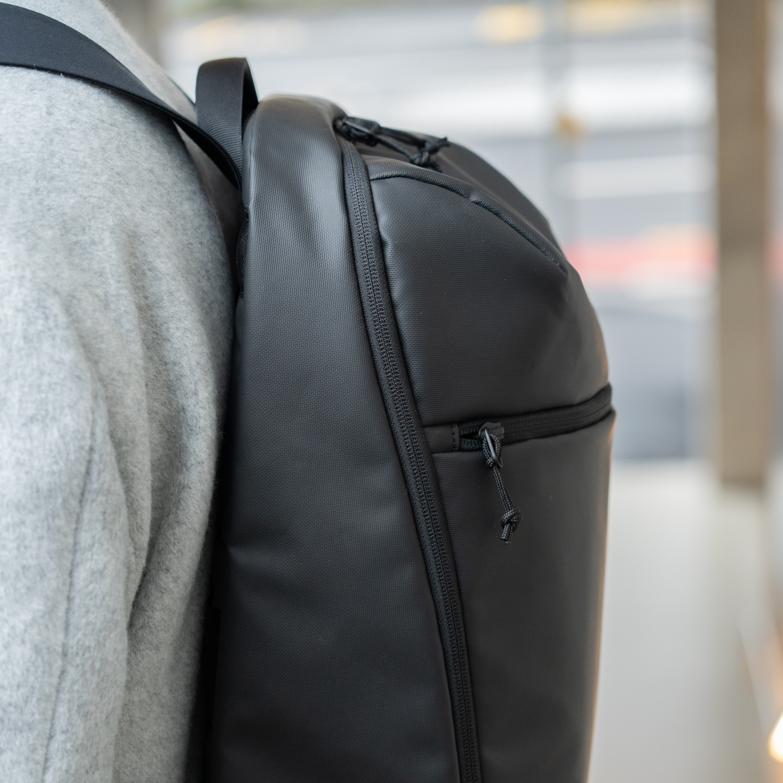 Racoon Business Rucksack Campus