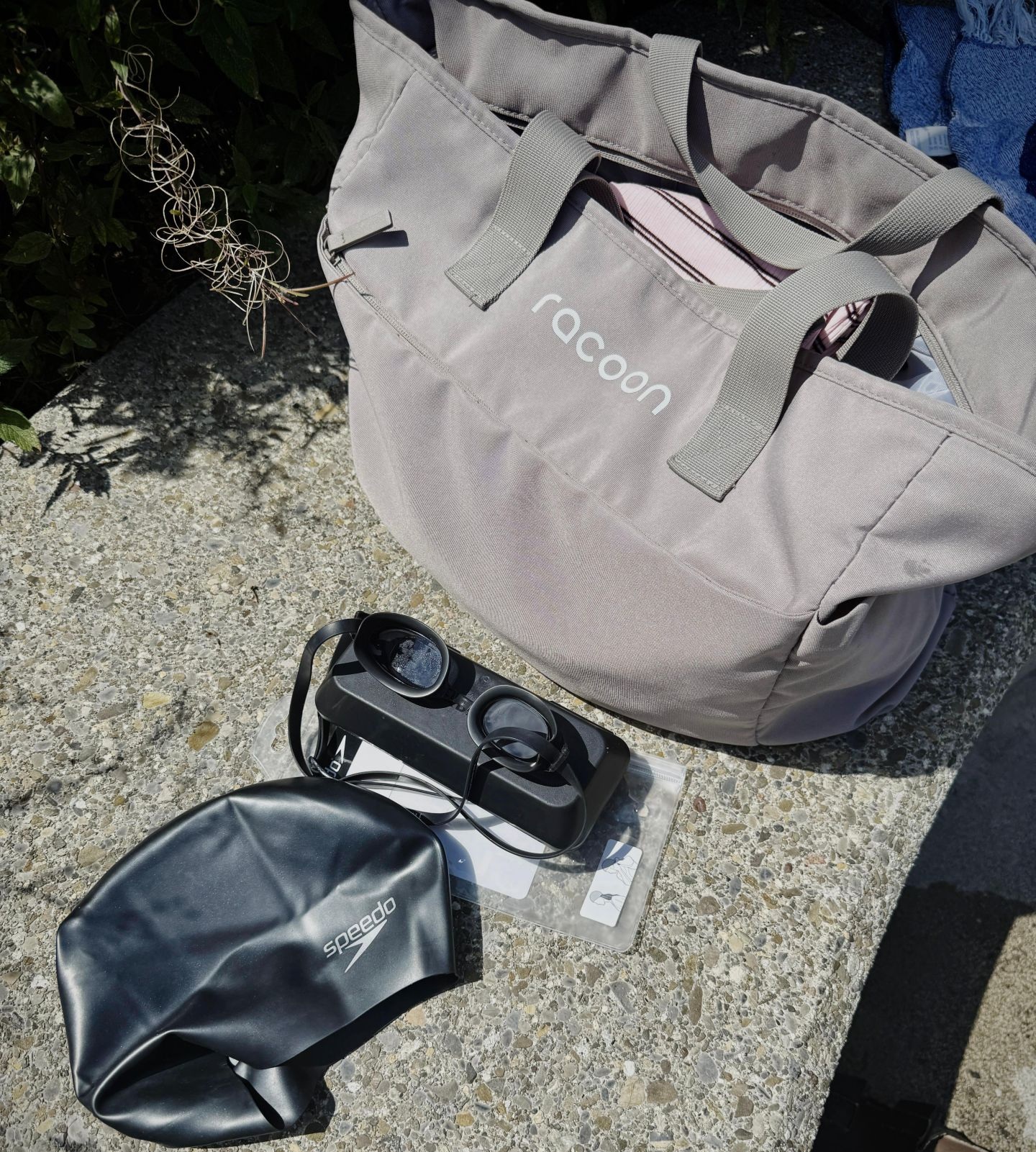 Tasche, Tragetasche