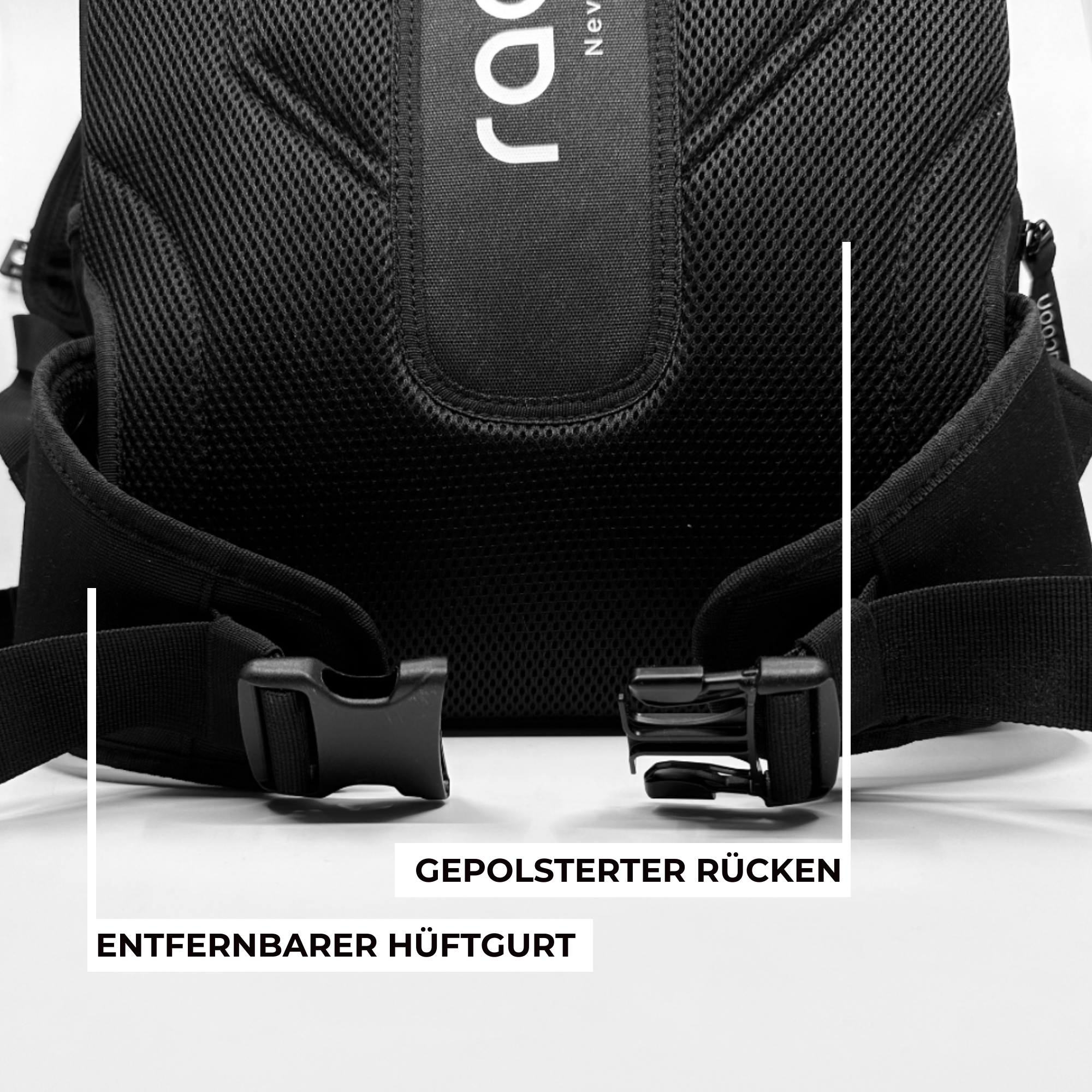 racoon schulrucksack