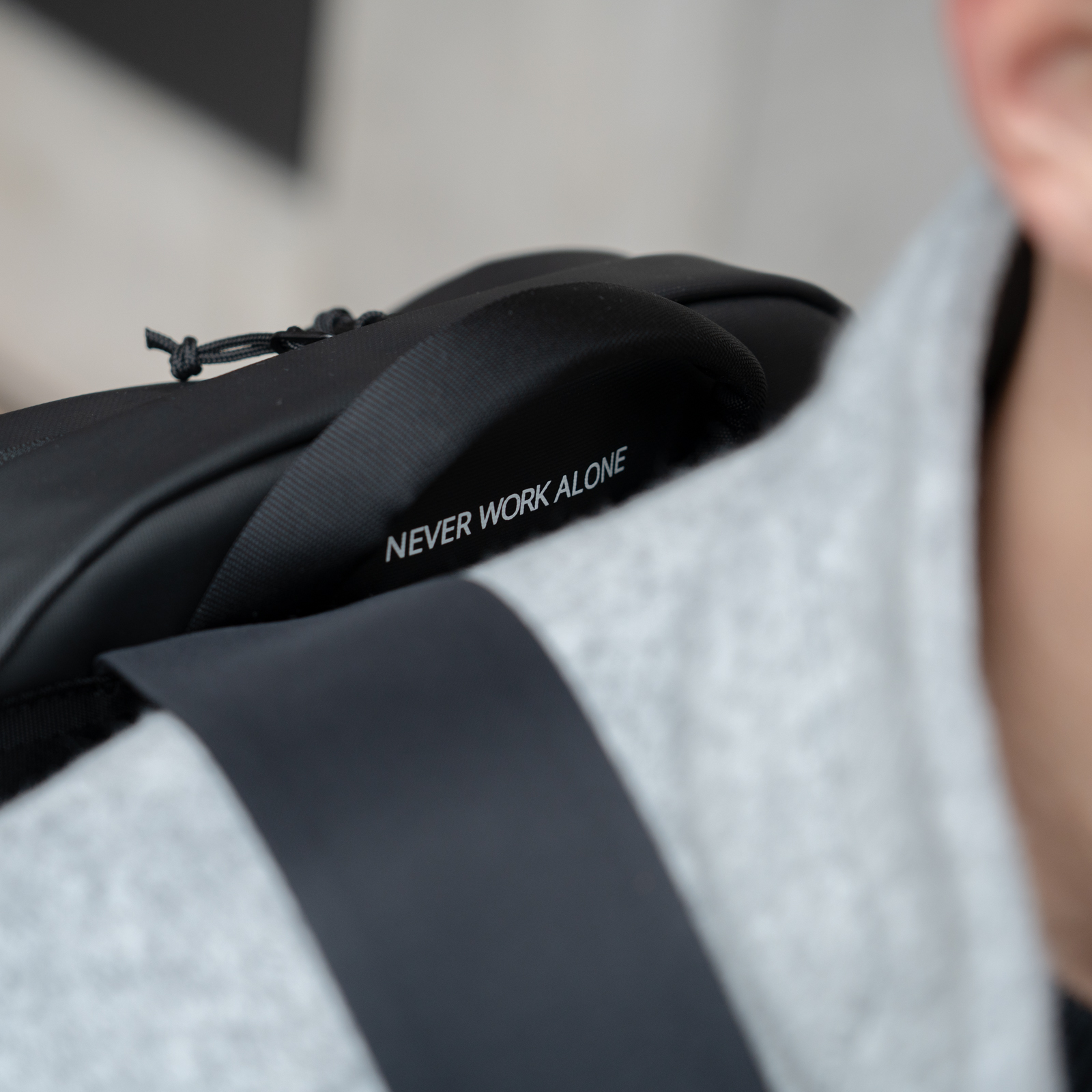 Racoon Business Rucksack Campus