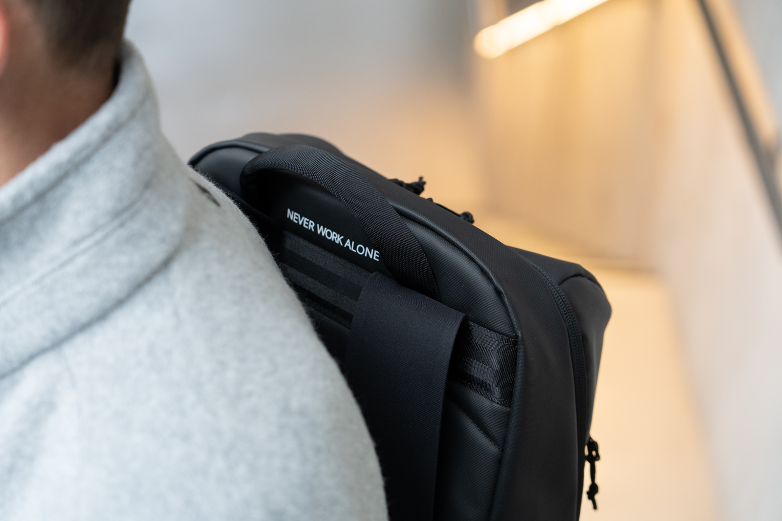 Racoon Business Rucksack Campus